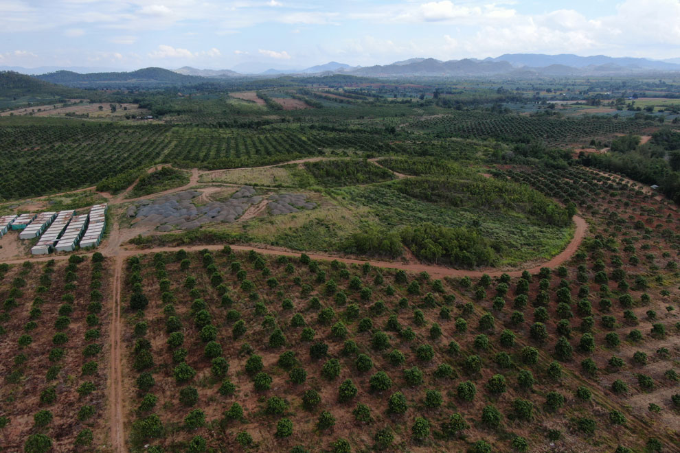 Battambang seeks China investment in agri-processing